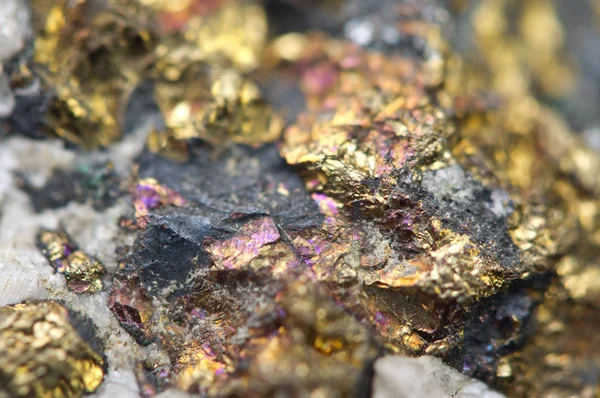 Chalcopyrite Sulfure de cuivre minéral Macro . — Photo