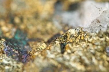 Chalcopyrite bakır demir sülfit maden makro.