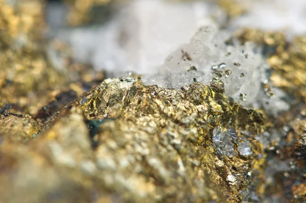 Chalcopyrite měď železo minerál makro. — Stock fotografie