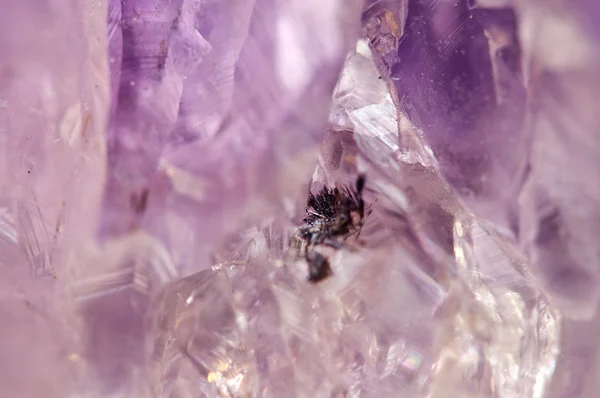 La amatista es una variedad violeta de cuarzo que se usa a menudo en joyería. — Foto de Stock