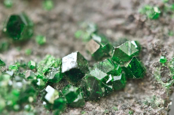 Uvarovite è un granato cromato. Macro . — Foto Stock