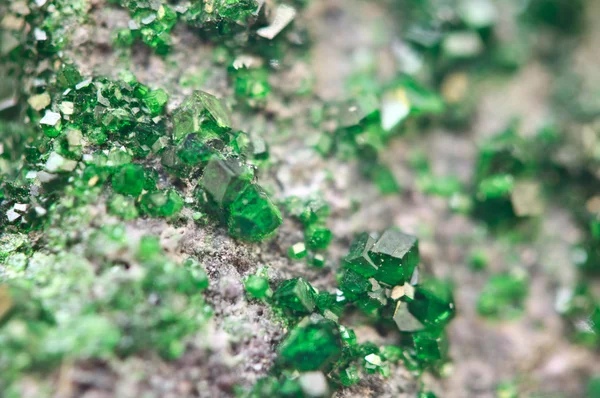 Uvarovite is a chromium-bearing garnet. Macro. — Stock Photo, Image