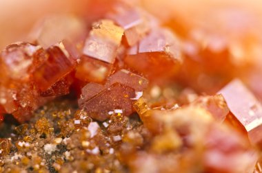 Kristalleri Vanadinite. Makro. Aşırı closeup