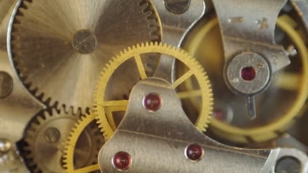 Ruedas dentadas de metal dentro del reloj . — Vídeos de Stock