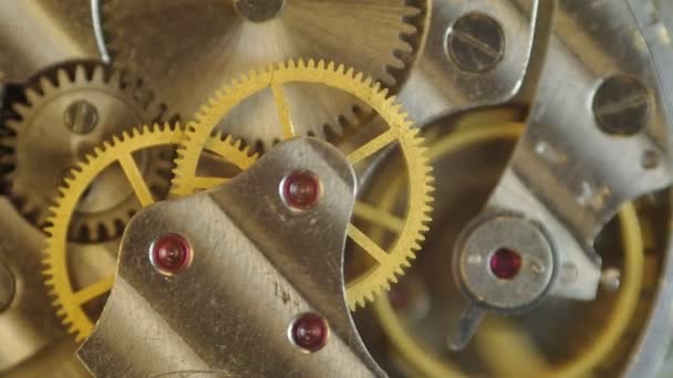 Metal cogwheels inside clockwork — Stock Video