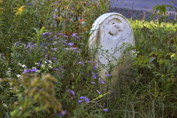 Historiska kyrkogården — Stockfoto