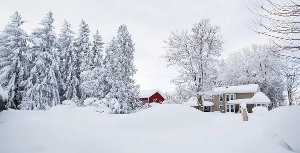 Winterwunderland — Stockfoto