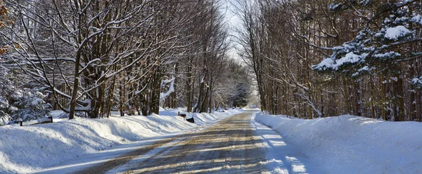 Inverno ocidental de Nova Iorque — Fotografia de Stock