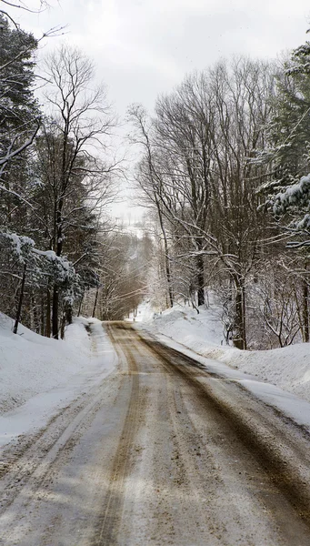 West New York Winter — Stockfoto