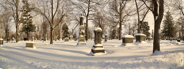 Forest Lawn Cemetery — Stockfoto