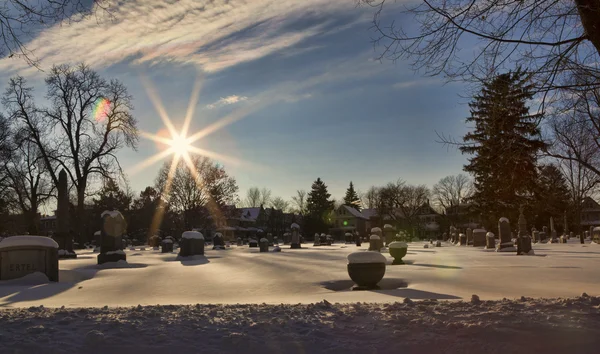 Forest Lawn cmentarz — Zdjęcie stockowe