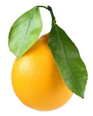 Lemon, beyaz arkaplanda yaprak izole edilmiş bir şekilde kapat.