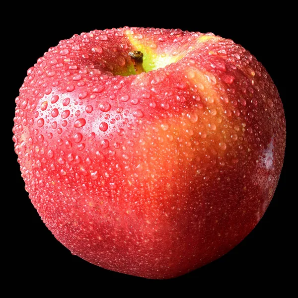 Kırmızı Islak Elma Siyah Arkaplanda Izole Edilmiş — Stok fotoğraf