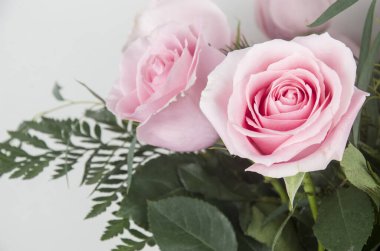 Rosa, Rosa, Flores, Ramo, Fiesta Regalar, Doğal, Fauna, Flora, Floristaria, Cumpleaos 