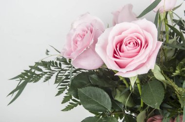 Rosa, Rosa, Flores, Ramo, Fiesta Regalar, Doğal, Fauna, Flora, Floristaria, Cumpleaos 