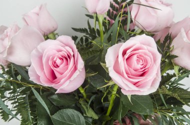 Rosa, Rosa, Flores, Ramo, Fiesta Regalar, Doğal, Fauna, Flora, Floristaria, Cumpleaos 