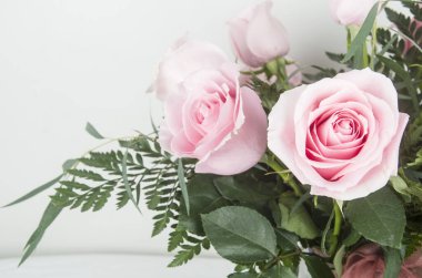 Rosa, Rosa, Flores, Ramo, Fiesta Regalar, Doğal, Fauna, Flora, Floristaria, Cumpleaos 