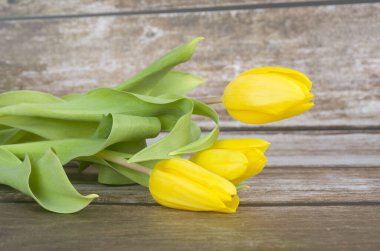 Laleler, çiçek doğası, sarı, buket, bahar, gövde, hediye, çiçekçi