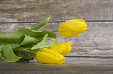 Laleler, çiçek doğası, sarı, buket, bahar, gövde, hediye, çiçekçi