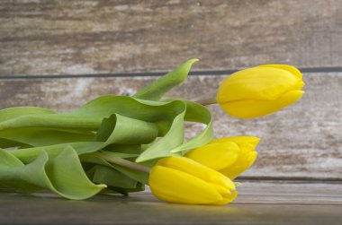 Laleler, çiçek doğası, sarı, buket, bahar, gövde, hediye, çiçekçi