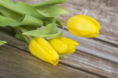 Laleler, çiçek doğası, sarı, buket, bahar, gövde, hediye, çiçekçi