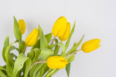 Laleler, çiçek doğası, sarı, buket, bahar, gövde, hediye, çiçekçi