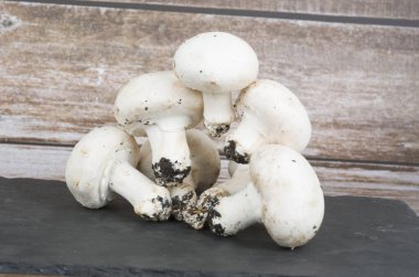 mantarlar, cetalar, sebzeler, orman, diyet, aşçı, yabani, yemek, akşam yemeği,