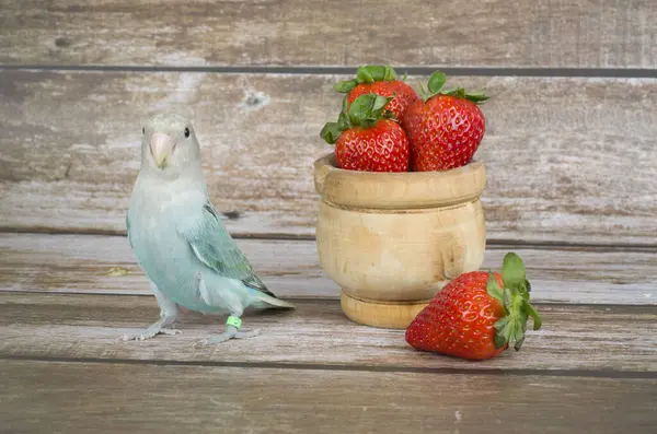 fresh red strawberries and bird on a wooden table