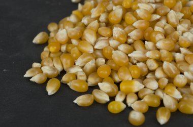 ham organik mısır tohumları 