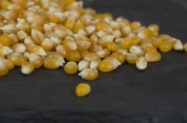 ham organik mısır tohumları 