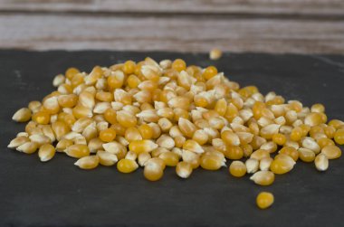 ham organik mısır tohumları 