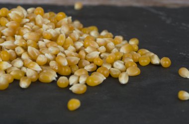 ham organik mısır tohumları 