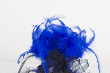 Beyaz arkaplanda mavi tüyler