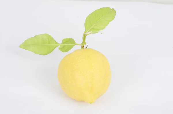 Citroen Fruit Vitamine Citroenzuur Eet Sap Dieet Citroenboom — Stockfoto
