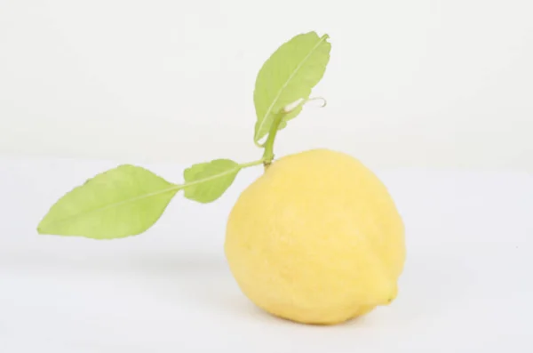 Limão Frutas Vitamina Cítrico Comer Suco Dieta Limoeiro — Fotografia de Stock