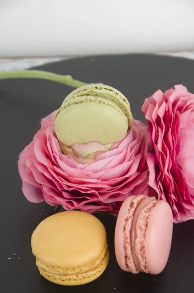 Macaron Sladký Snídaně Dezert Jíst Vařit Cukr Poušť Barva — Stock fotografie