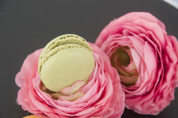 Macaron Édes Reggeli Desszert Enni Főzni Cukor Sivatag Szín — Stock Fotó