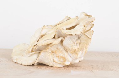 Beyaz ahşap bir masada taze mantarlar. 