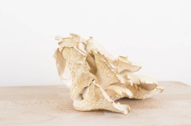 Beyaz ahşap bir masada taze mantarlar. 