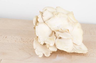 Beyaz ahşap bir masada taze mantarlar. 