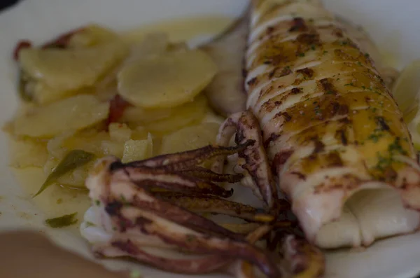 Kraken Kraken Brustschwimmen Essen Kochen Diäten Mediterrane Diät Essen Spanien — Stockfoto