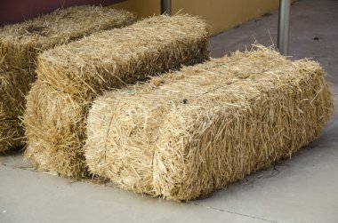 Beyaz bir arka planda bir Tarım çiftliği olarak izole saman balya