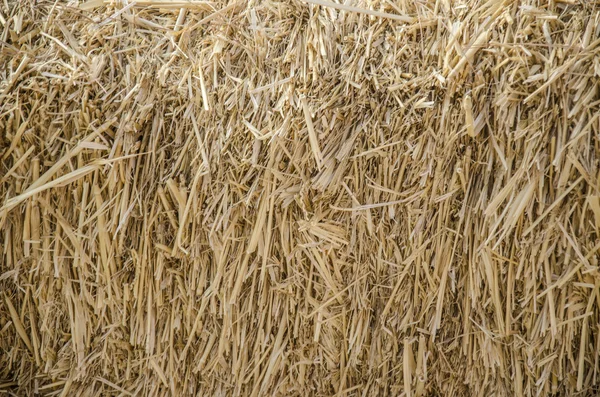 Beyaz bir arka planda bir Tarım çiftliği olarak izole saman balya