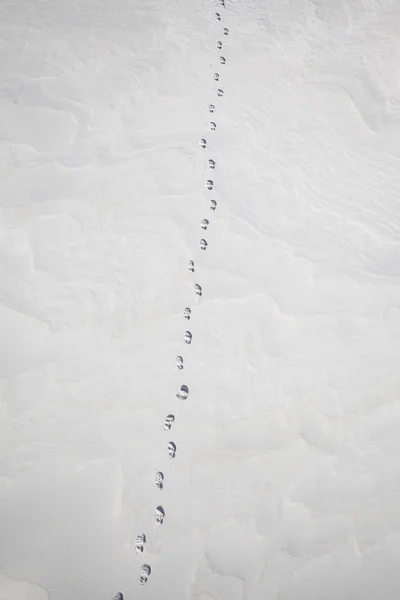 Impronte sulla neve — Foto Stock