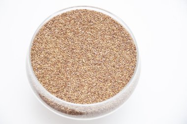 Erken tahıl ürünleri tohumları