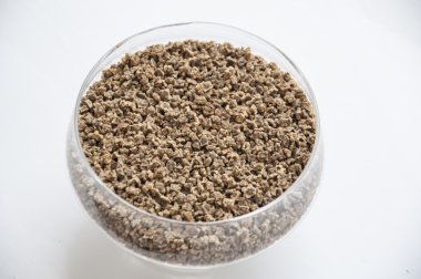 Erken tahıl ürünleri tohumları