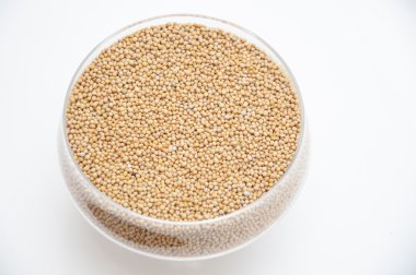 Erken tahıl ürünleri tohumları