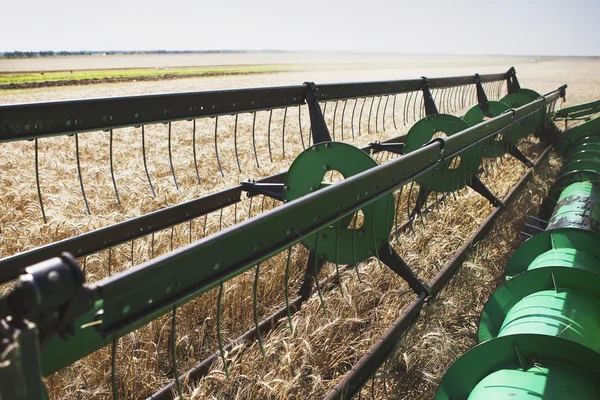 Mietitrebbia su un campo di grano — Foto Stock