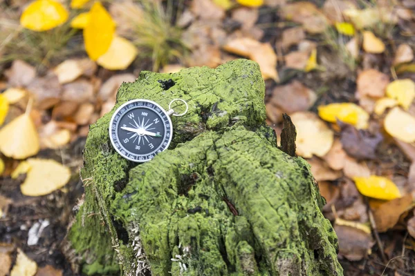 arazi yönlendirme için pusula