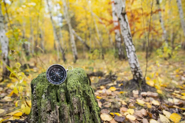 compass for orientation in the terrain
